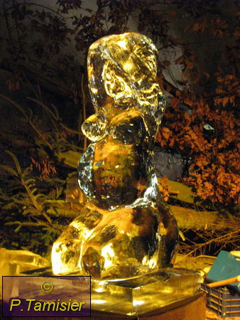 2008-12-14 20-08-51.JPG - Weihnachtszeit in den Vogesen Obernai